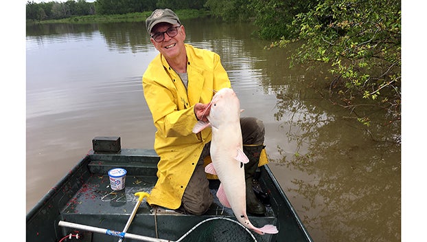 Fishermen haul in albino catfish on trotline - Mississippi's Best