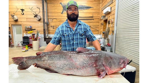 River monster: Man hauls in 104 pound catfish near Natchez using
